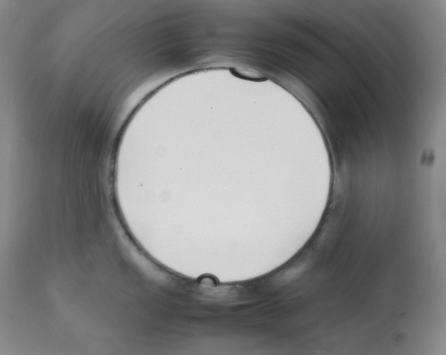 X0000112051149200909150957