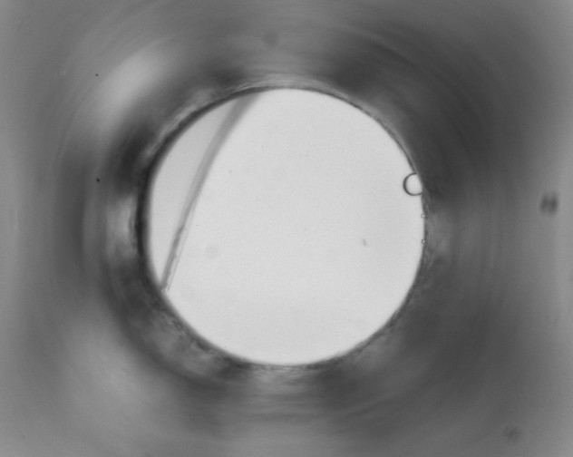 X0000112051150200909150957