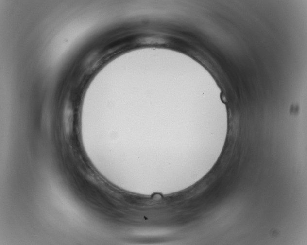 X0000112051151200909150957