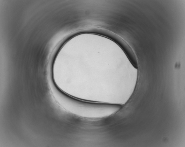 X0000112051152200909150957