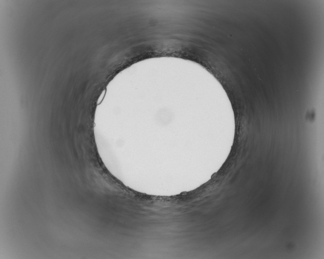 X0000112051153200909150956