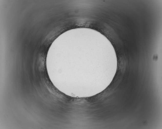 X0000112051154200909150956