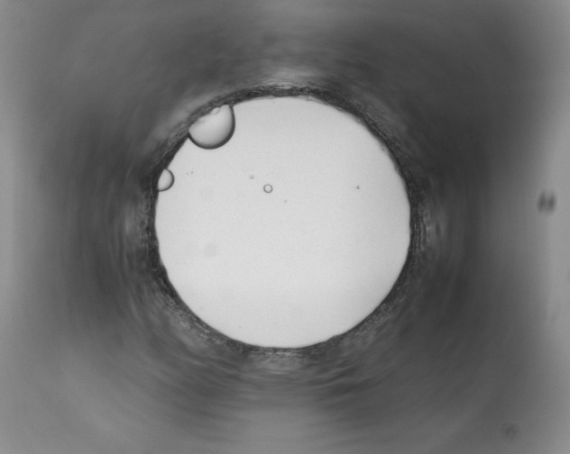 X0000112051158200909150956