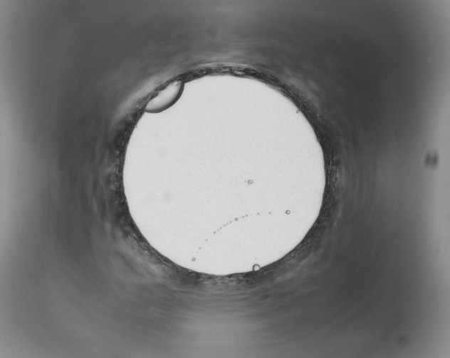 X0000112051159200909150956