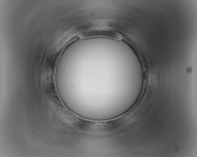 X0000112051161200909150956