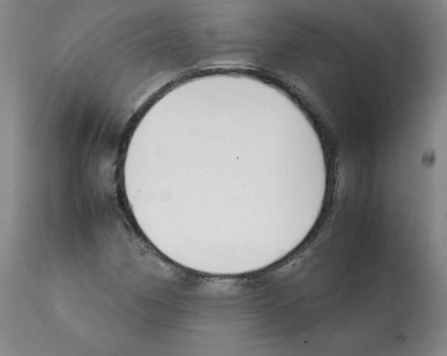 X0000112051162200909150956