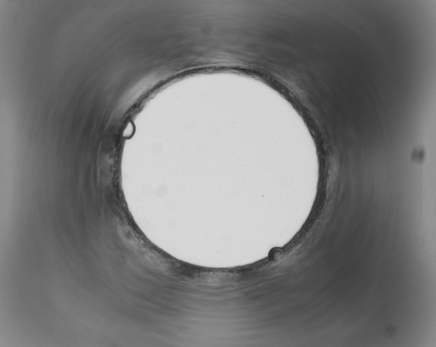 X0000112051163200909150956