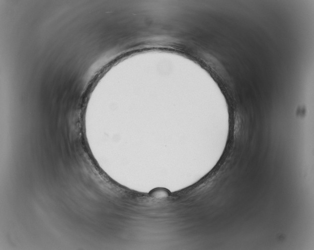 X0000112051164200909150956
