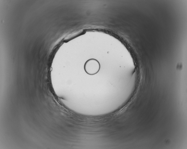 X0000112051165200909150956
