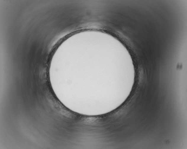 X0000112051166200909150956