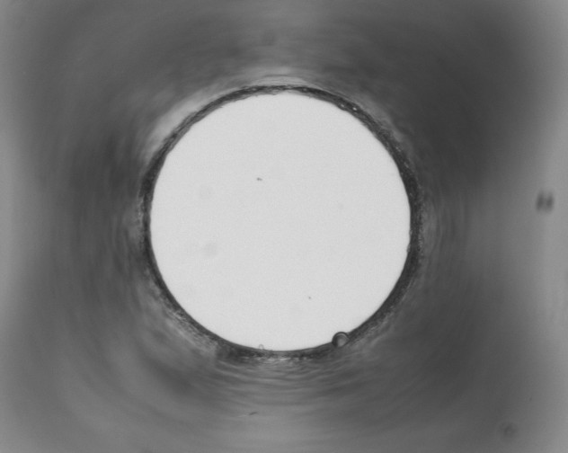 X0000112051167200909150956