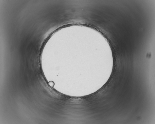 X0000112051168200909150956