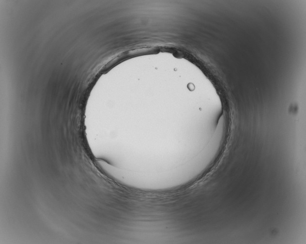 X0000112051169200909150956