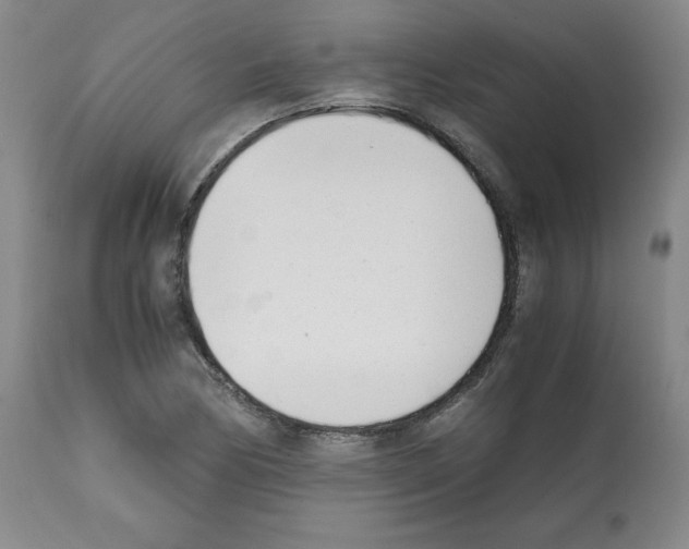 X0000112051170200909150956