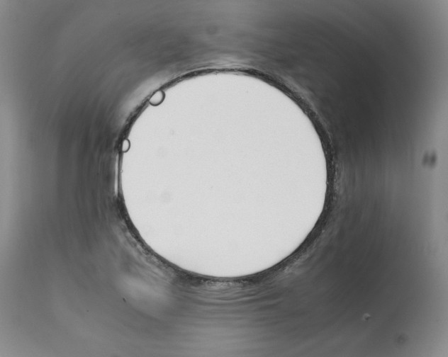 X0000112051171200909150956