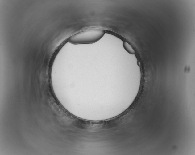 X0000112051173200909150956