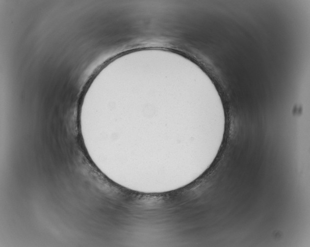 X0000112051174200909150956