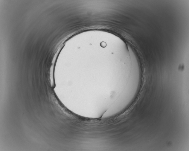 X0000112051177200909150956