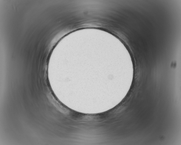 X0000112051179200909150955