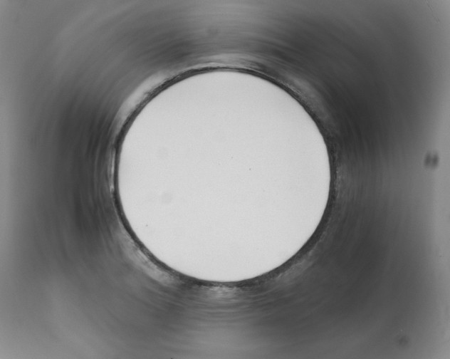X0000112051180200909150955