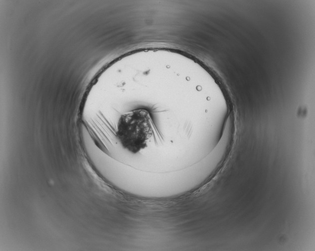 X0000112051181200909150955