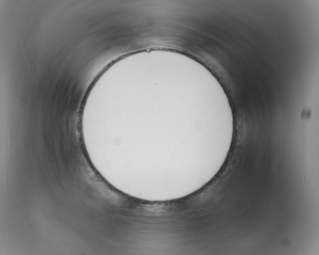 X0000112051182200909150955