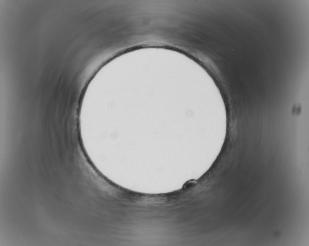 X0000112051183200909150955