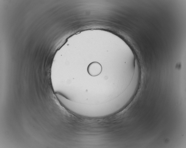 X0000112051185200909150955
