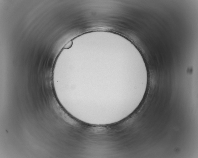 X0000112051186200909150955