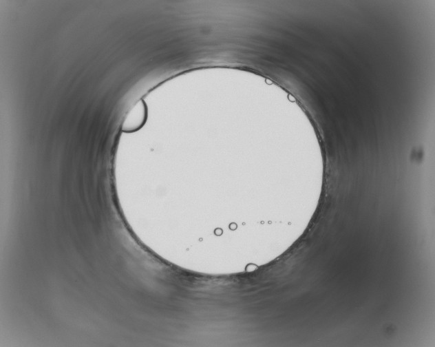 X0000112051187200909150955