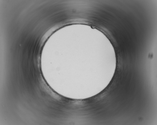 X0000112051188200909150955