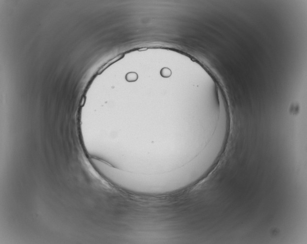 X0000112051189200909150955