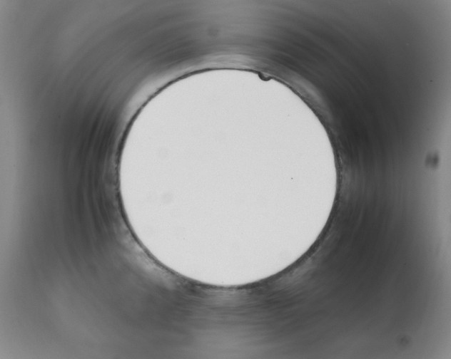 X0000112051192200909150955