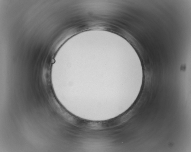 X0000112051194200909150955