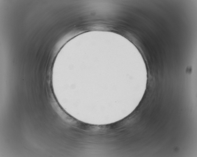 X0000112051195200909150955