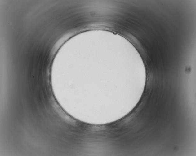 X0000112051196200909150955