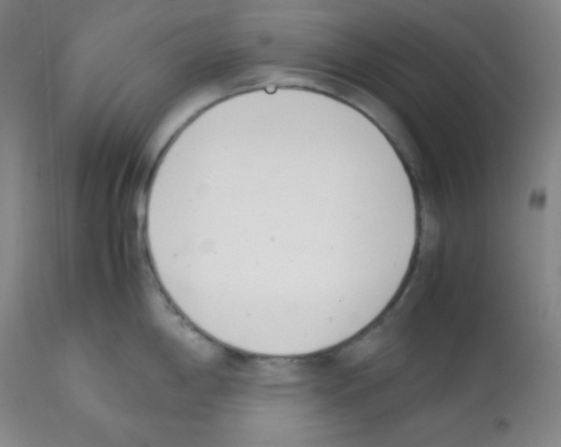 X0000112051198200909150955