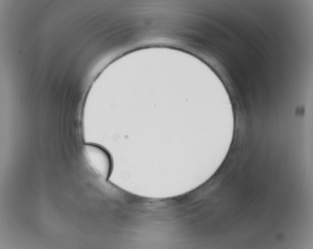 X0000112051199200909150955
