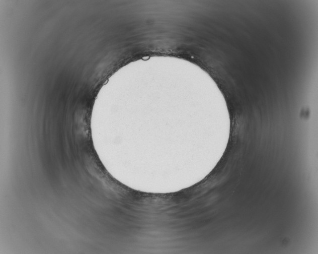 X0000112051202200909150955