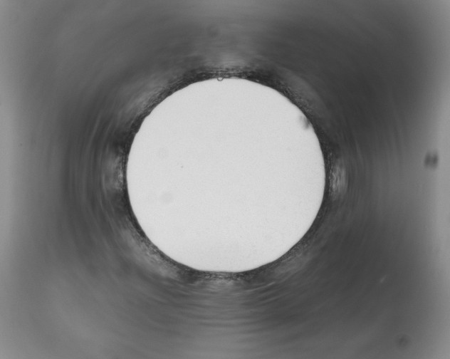 X0000112051204200909150955