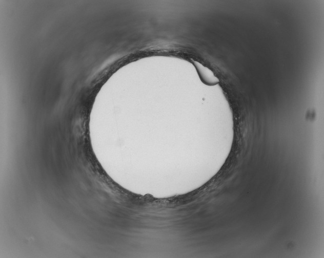 X0000112051206200909150955