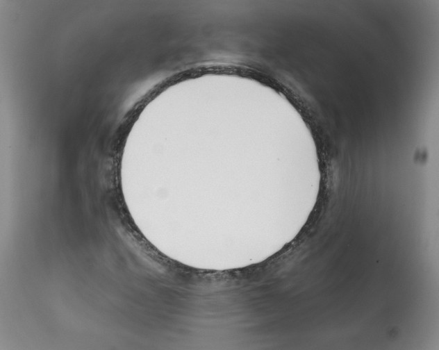 X0000112051208200909150955