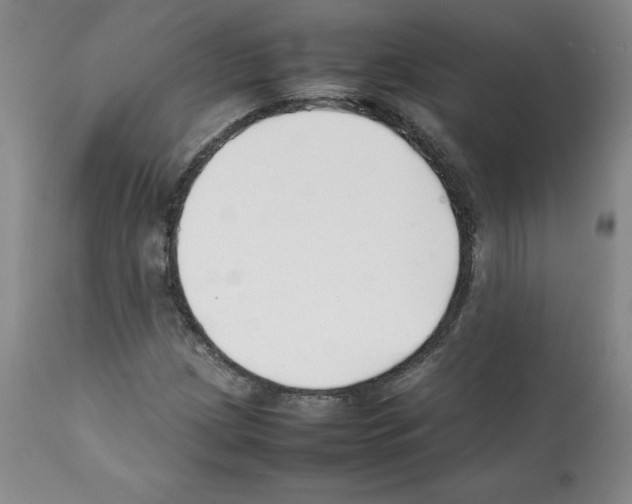 X0000112051209200909150955