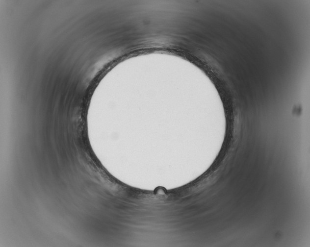 X0000112051210200909150955