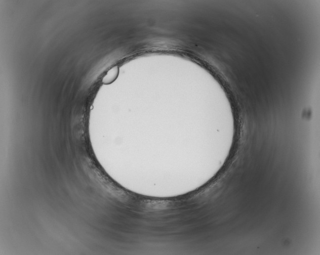 X0000112051211200909150955