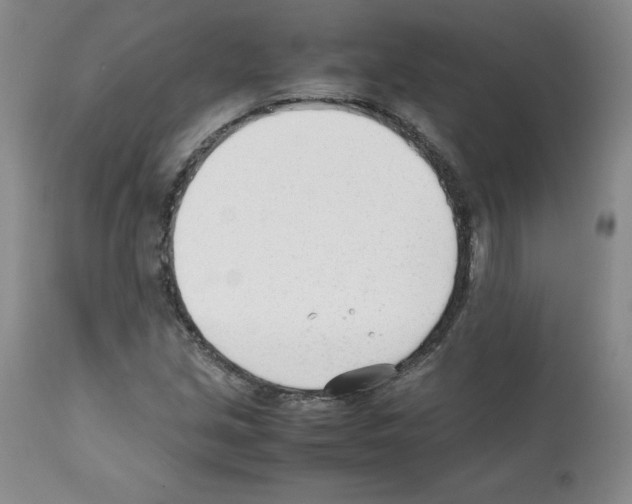 X0000112051213200909150955