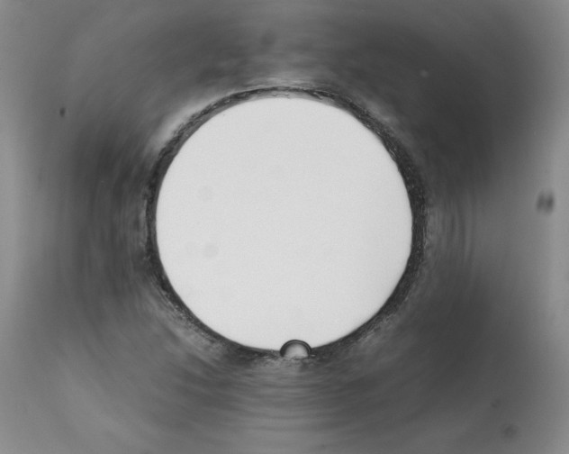 X0000112051214200909150955