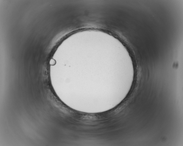 X0000112051215200909150955