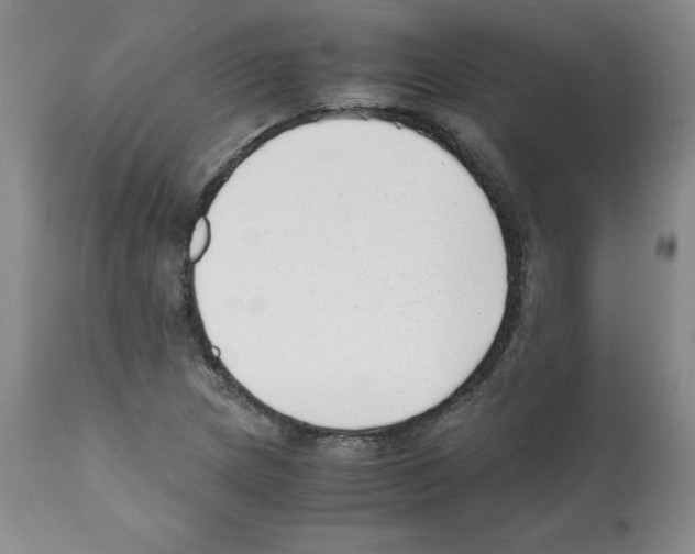 X0000112051217200909150955