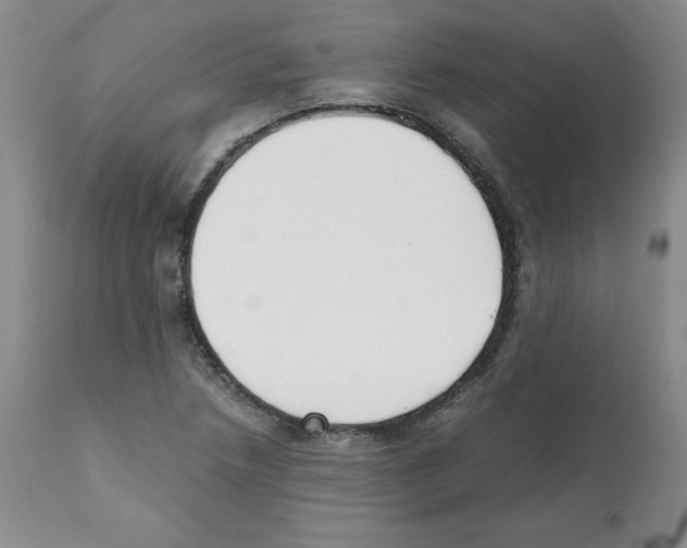 X0000112051218200909150955